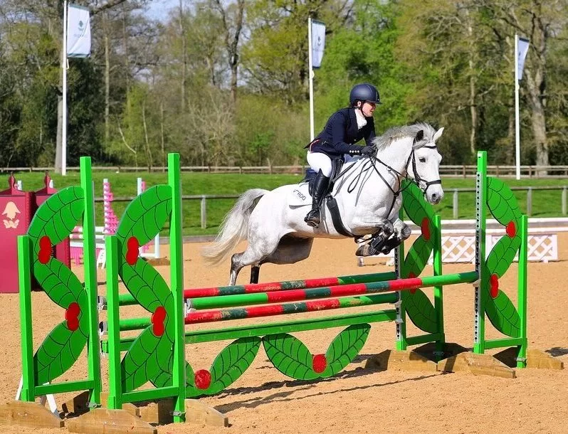 British Showjumping