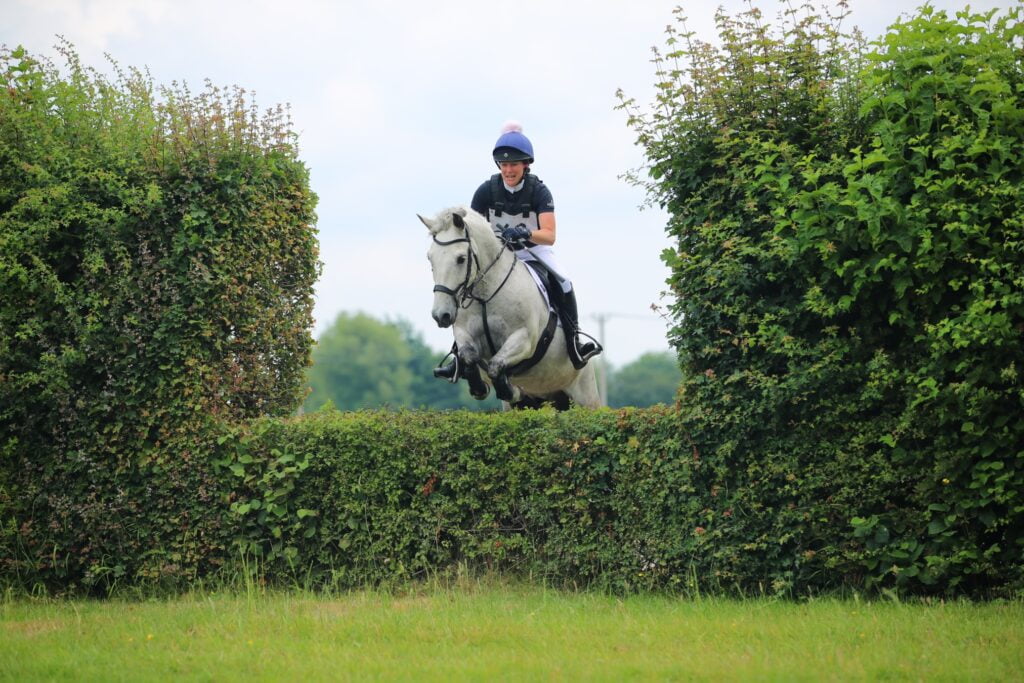 Horse jumping over hedge