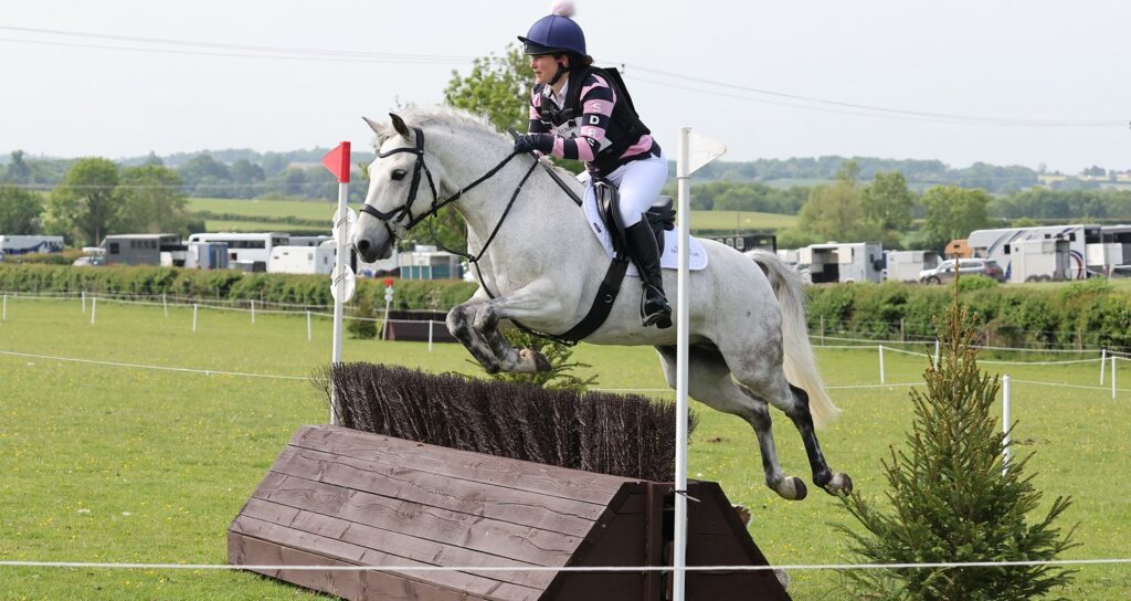 Horse jumping a fence