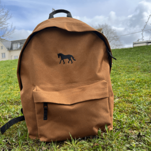 Image of backpack